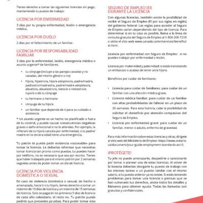 Leaves - Spanish factsheet