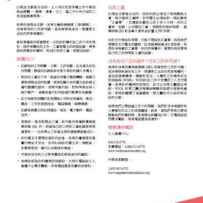 Working for Cash - Chinese factsheet