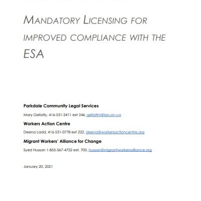 Link to report on Temporary Help Agency Consultation